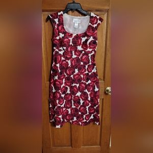 Chadwick sleeveless rose dress size 6